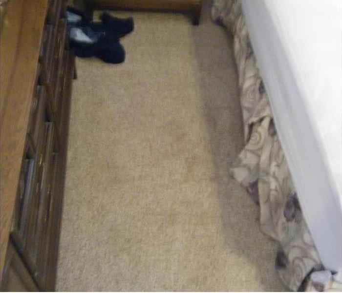 Clean tan carpet