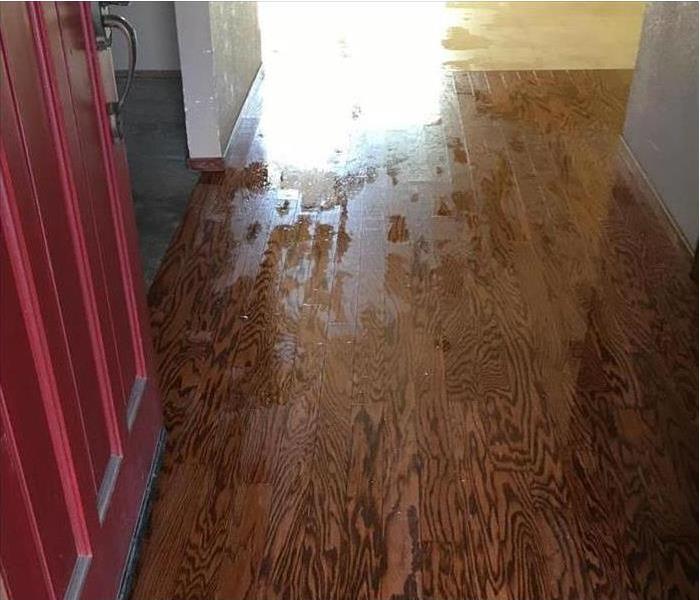 Brown wood flooring with water all over it
