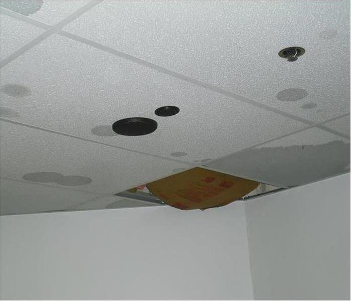 Office building ceiling with obvious water damage