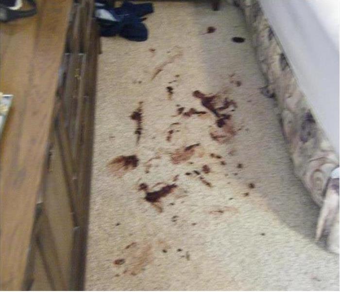 Blood on tan carpets
