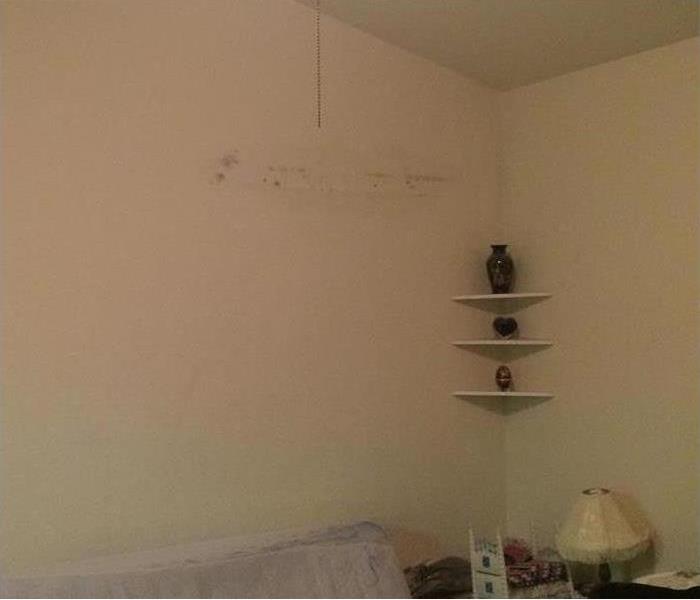 photo of mold on wall