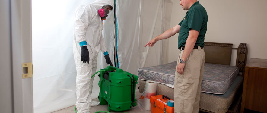 Concord, CA mold removal process